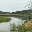 대요낚시터 이미지