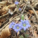 흙집정원 이미지