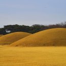 경주 천마총이 있는 대릉원 이미지