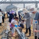 서삼농장 이미지