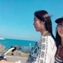 킴스캐빈 | 렌트카 없이 제주 여행 DAY3 (성산,킴스캐빈 게하,우도,전기 자전거,안녕 육지사람,흑돼지 버거,블랑...