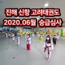신항고려태권도장 이미지