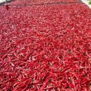 동천농장 이미지