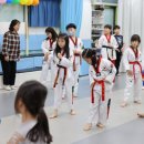 최강동탄경희대태권도장 | 화성 동탄 지역에서 자녀를 위한 태권도장을 찾고 계신가요? &#34;동탄경희대태권도&#34;