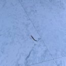 무주펜션 옐로스톤 이미지