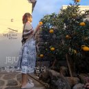 제주스테이 | 제주스테이멀리 후기 제주도 한림숙소 가족숙소로 추천