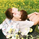 화양연화 - 고양시 일산동구 무궁화로75번길 12 | 화양연화