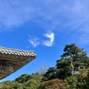 까페궁근정 | 가을 울산~경주 여행 10월 해바라기🌻 핑크뮬리🌸