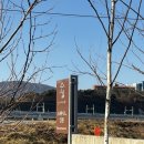 경일대학교 직원 | [경북 경산 | 스페이스, 임원] 인테리어가 돋보이는 분위기 좋은 경산 카페
