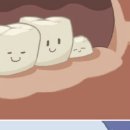 호치과 네이버블로그