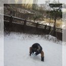 Snowball fight 이미지