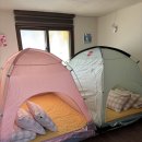 초록담 | 밀양 독채 펜션 <초록담> 촌캉스감성 단체여행 숙소 내돈내산 리뷰