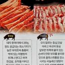 차돌이네삼겹살
