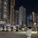 김동권 독 트레이닝센터 | [공지] 꿈틀 반려견 센터가 전한 반려견 직업세계의 가치 [ 구지중학교 ]