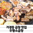 청주노포맛집 가경동 곱창 우황소곱창 한우곱창모듬A 후기