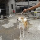 로미&줄리 이미지