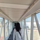 요가라니아 | 대만 여행 1 (중화항공, 솔라니아 니츠테츠 시먼딩)