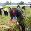 고은1리 이미지