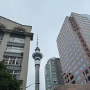 (주)델리마운트 | 뉴질랜드 여행일기 Day11 - Devonport 데본포트, 스타벅스 핑크드링크