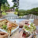 경북 영덕 캠핑장 국립 칠보산 자연휴양림 동해 일출 명소 추천