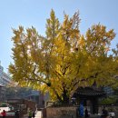 의정부시공무직노동조합 | 나의 모성애는 너를 세상에 내놓지 않는 것