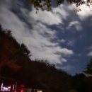 오치목욕탕 Daum카페