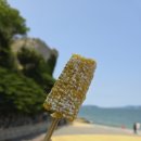 CU 성산책길희망점 | 거제도 애견동반 여행코스 : 매미성 주차장 및 강아지 산책 팁