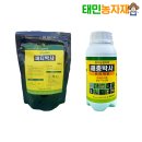 해충박사 - 동구 | 해충박사