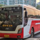 수원-1175 이미지