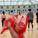 대구광역시동구청 | 2024년 대구광역시 동구청장기 생활체육 배드민턴대회 10월 8일(일) 대구 시민 생활스포츠센터