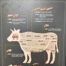 수원축산농협 한우프라자 이미지