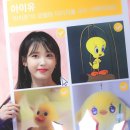 히얼퍼피 이미지