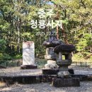 1392 | 따라가는 문화유산 - 충주 청룡사지