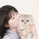포마이티니