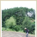 단지농장 이미지