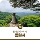 동혈사 삼층석탑 | 공주시 의당면 동혈사지와 동혈사를 둘러보고 천태산에 오르다