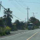 [초등학생 포함 가족] 우리모두 수(水)퍼히어로 | 환상숲 곶자왈 부모님과 제주 여행지 추천 숲해설 족욕체험 꼭