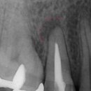 연세이로운치과의원 이미지