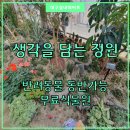[수성구청] 생각을 담는 정원 | 생각을담는정원│대구 무료식물원 실내데이트(반려동물 동반가능)