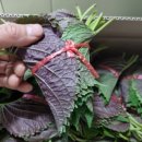 대양물류 이미지