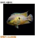 아쿠아수족관 이미지