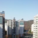 신성부동산컨설팅 이미지