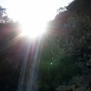 서귀동-43 이미지