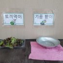 고려산 힐링캠프 이미지