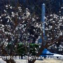 천성국군묘지 이미지