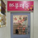 BS블레슈