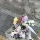 커들리플라워 이미지