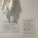 개인의 공간, 쉼. | 청량리역 다이어트 쉼테라피 밸러스점핑 체온상승 관리 솔직 후기