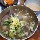 금성관 나주곰탕 | 뚠뚠여지도 31번째 여정 시청역 명동회현 곰탕 맛집 나주곰탕 금성관 후기