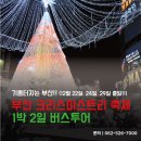 [광주출발/기차여행] 부산 크리스마스 트리축제 1박2일 이미지